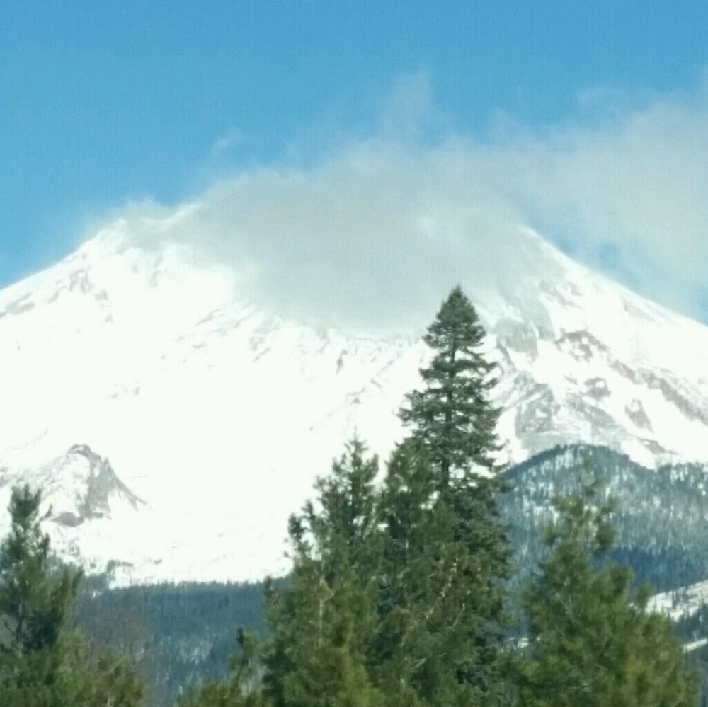 Meet your Posher, Gladys
